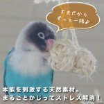 画像5: かじりーず さくらんボール 【東アフリカ産】栽培時農薬不使用サイザル麻 (5)