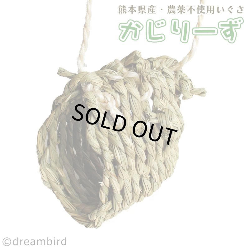画像1: かじりーず　かくれが 栽培時農薬不使用【熊本県産】いぐさ・【東アフリカ産】サイザル麻使用 (1)