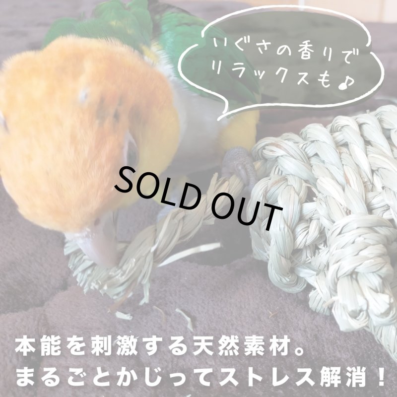 画像5: かじりーず いぐさロープ直径5mm x3M 栽培時農薬不使用いぐさ 熊本県産 (5)