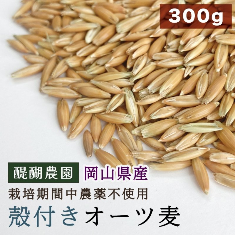 画像1: CAP! 鳥の餌 賞味期限2027/2/16※DHO300殻付きオーツ※【醍醐農園】栽培期間中農薬不使用 岡山県産 殻付きオーツ麦 300g ★ (1)
