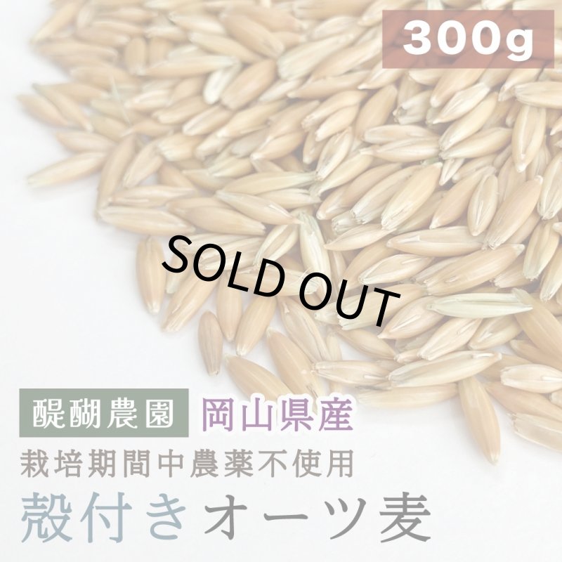 画像1: CAP! 鳥の餌 賞味期限2027/4/30※DHO300殻付きオーツ※【醍醐農園】栽培期間中農薬不使用 岡山県産 殻付きオーツ麦 300g ★ (1)
