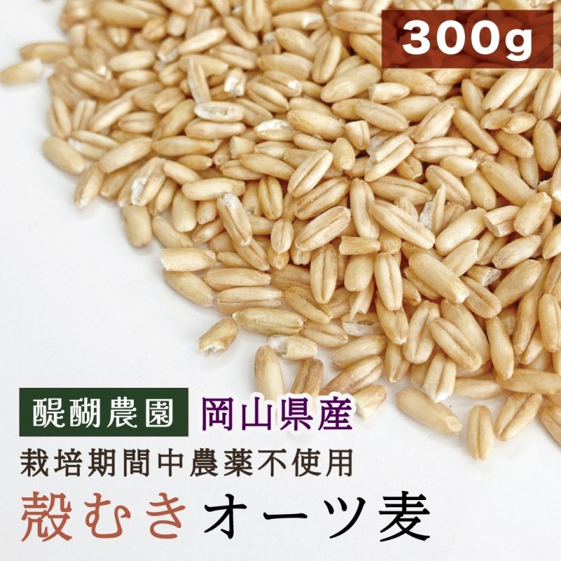 画像1: CAP! 鳥の餌 賞味期限2027/2/16※DOG300殻むきオーツ※【醍醐農園】栽培期間中農薬不使用 岡山県産 殻むきオーツ麦 300g★ (1)