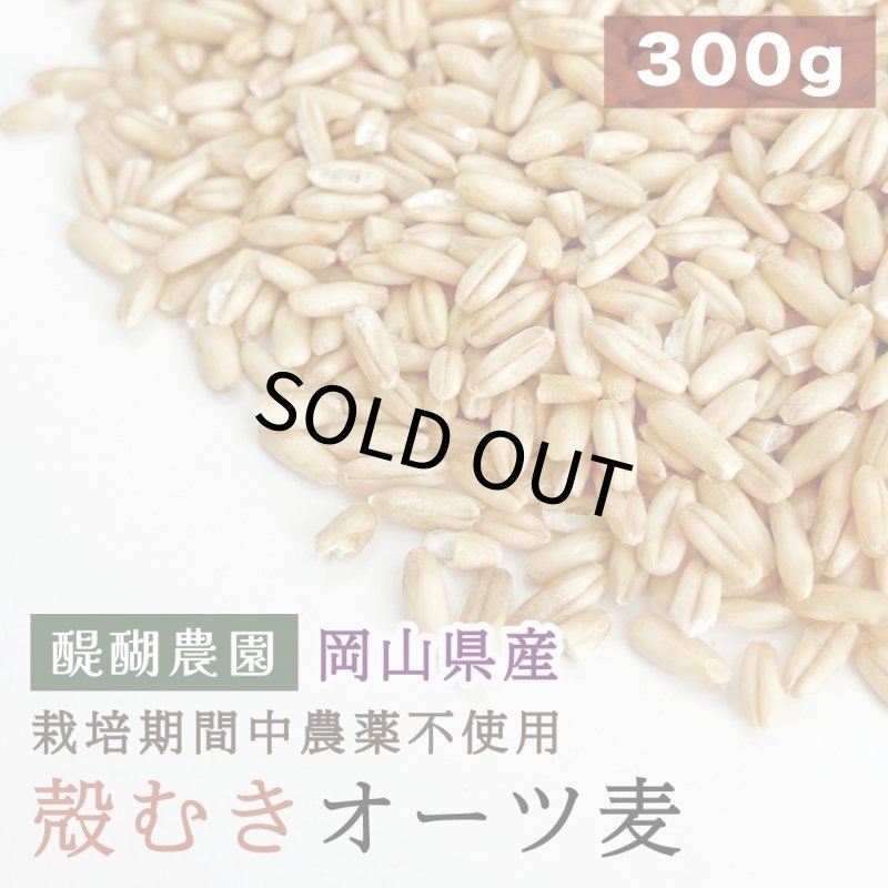 画像1: CAP! 鳥の餌 賞味期限2027/4/30※DOG300殻むきオーツ※【醍醐農園】栽培期間中農薬不使用 岡山県産 殻むきオーツ麦 300g★ (1)