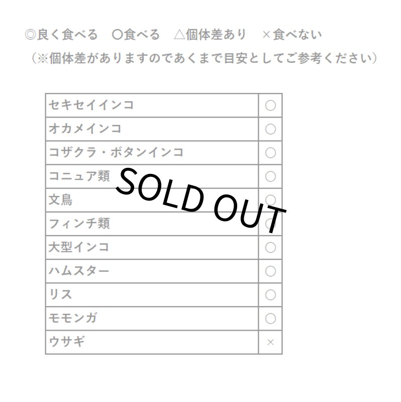 画像4: CAP! 鳥の餌 賞味期限2027/7/31※みかん※【黒瀬ペットフード】KTS-13 国産 みかんピール 20g (4)