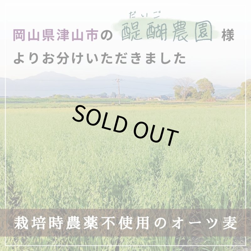 画像2: CAP! 鳥の餌 賞味期限2027/4/30※DOG300殻むきオーツ※【醍醐農園】栽培期間中農薬不使用 岡山県産 殻むきオーツ麦 300g★ (2)