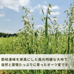 画像2: CAP! 鳥の餌 賞味期限2027/2/16※DHO300殻付きオーツ※【醍醐農園】栽培期間中農薬不使用 岡山県産 殻付きオーツ麦 300g ★ (2)