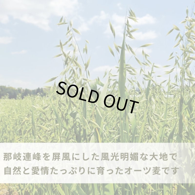 画像3: CAP! 鳥の餌 賞味期限2027/4/30※DOG300殻むきオーツ※【醍醐農園】栽培期間中農薬不使用 岡山県産 殻むきオーツ麦 300g★ (3)