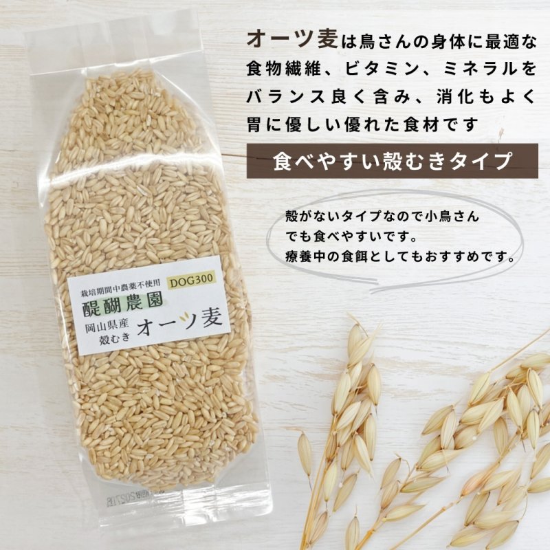 画像4: CAP! 鳥の餌 賞味期限2027/2/16※DOG300殻むきオーツ※【醍醐農園】栽培期間中農薬不使用 岡山県産 殻むきオーツ麦 300g★ (4)