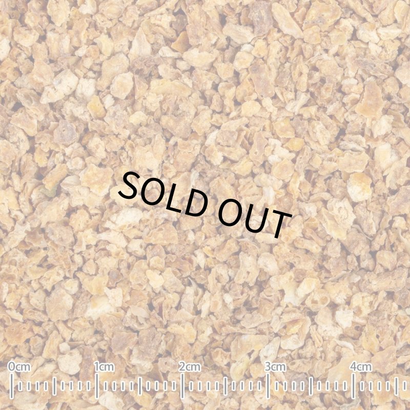 画像3: CAP! 鳥の餌 賞味期限2027/7/31※みかん※【黒瀬ペットフード】KTS-13 国産 みかんピール 20g (3)