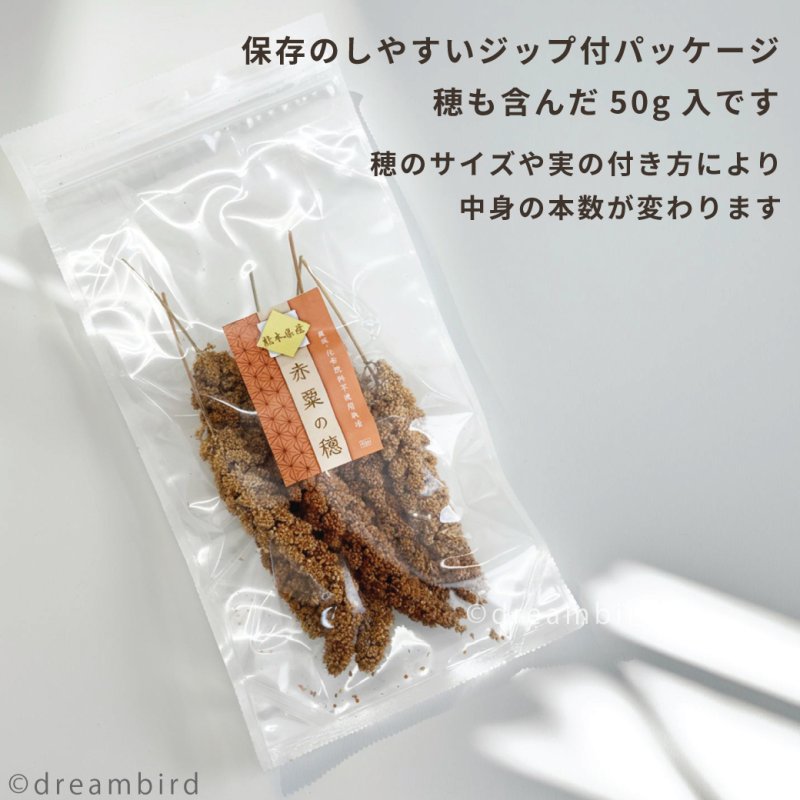 画像6: ※お一人様３点まで※農薬不使用栽培 CAP! 鳥の餌 賞味期限2027/8/31【熊本県産】有機JAS認定品 赤粟の穂 50g 2025年産 ★ (6)