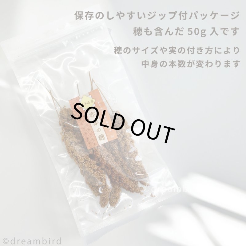画像6: ※お一人様３点まで※農薬不使用栽培 CAP! 鳥の餌 賞味期限2027/9/30【熊本県産】有機JAS認定品 赤粟の穂 50g 2025年産 ★ (6)