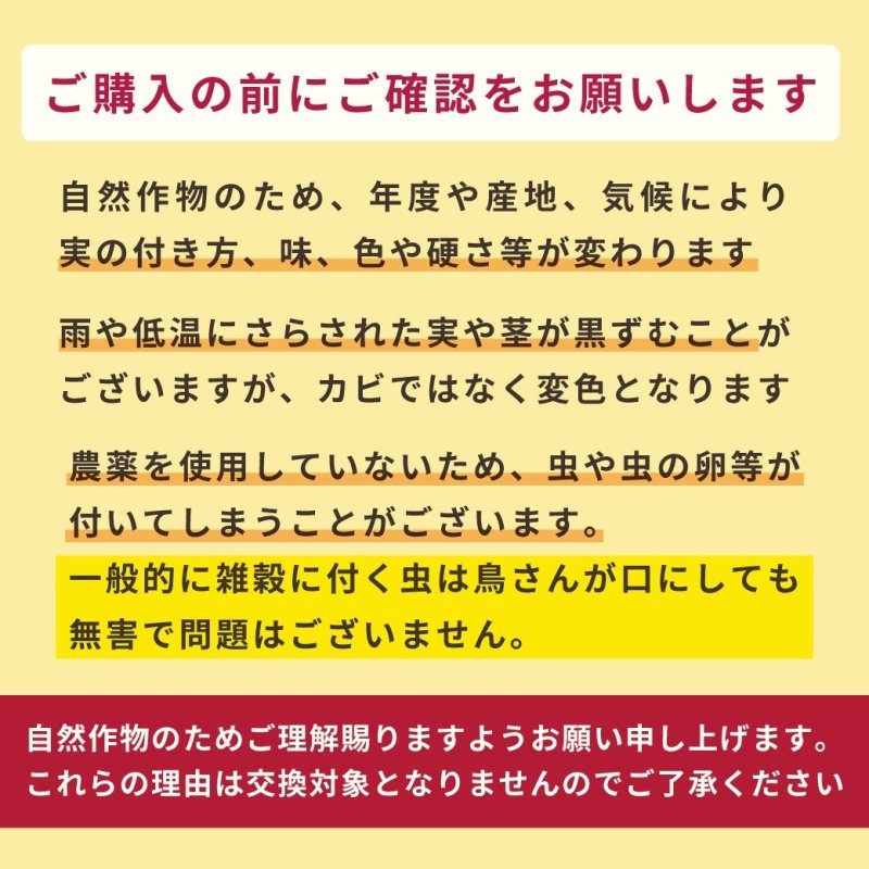 画像10: ※お一人様３点まで※農薬不使用栽培 CAP! 鳥の餌 賞味期限2027/8/31【熊本県産】有機JAS認定品 赤粟の穂 50g 2025年産 ★ (10)