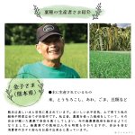 画像3: ※お一人様３点まで※農薬不使用栽培 CAP! 鳥の餌 賞味期限2027/8/31【熊本県産】有機JAS認定品 赤粟の穂 50g 2025年産 ★ (3)