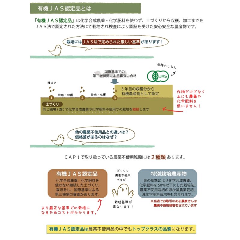 画像8: ※お一人様３点まで※農薬不使用栽培 CAP! 鳥の餌 賞味期限2027/8/31【熊本県産】有機JAS認定品 赤粟の穂 50g 2025年産 ★ (8)