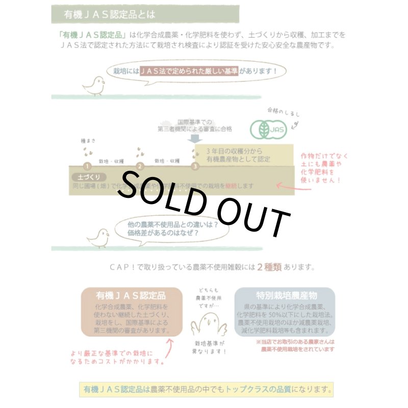 画像8: ※お一人様３点まで※農薬不使用栽培 CAP! 鳥の餌 賞味期限2027/9/30【熊本県産】有機JAS認定品 赤粟の穂 50g 2025年産 ★ (8)