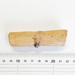 画像3: 【Parts】Banana Leaf Roll 1本 SB★ (3)