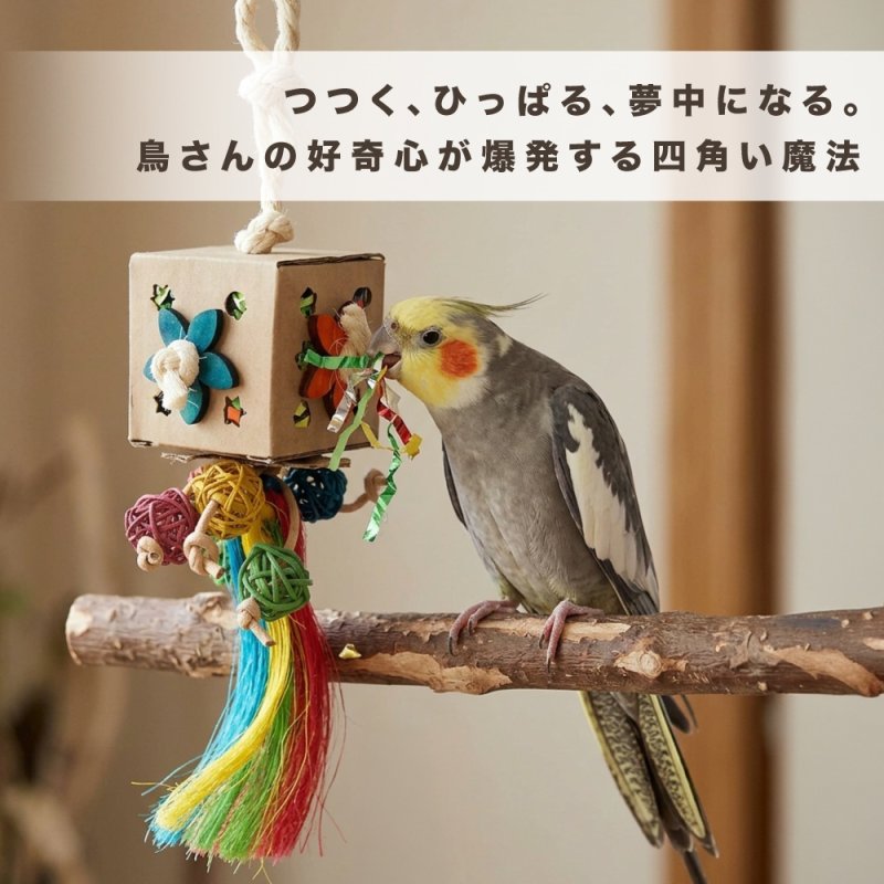 画像2: SB1262 Crazy Cube (2)