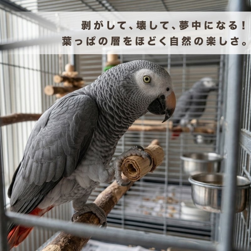 画像2: 【Parts】Banana Leaf Roll 1本 SB★ (2)