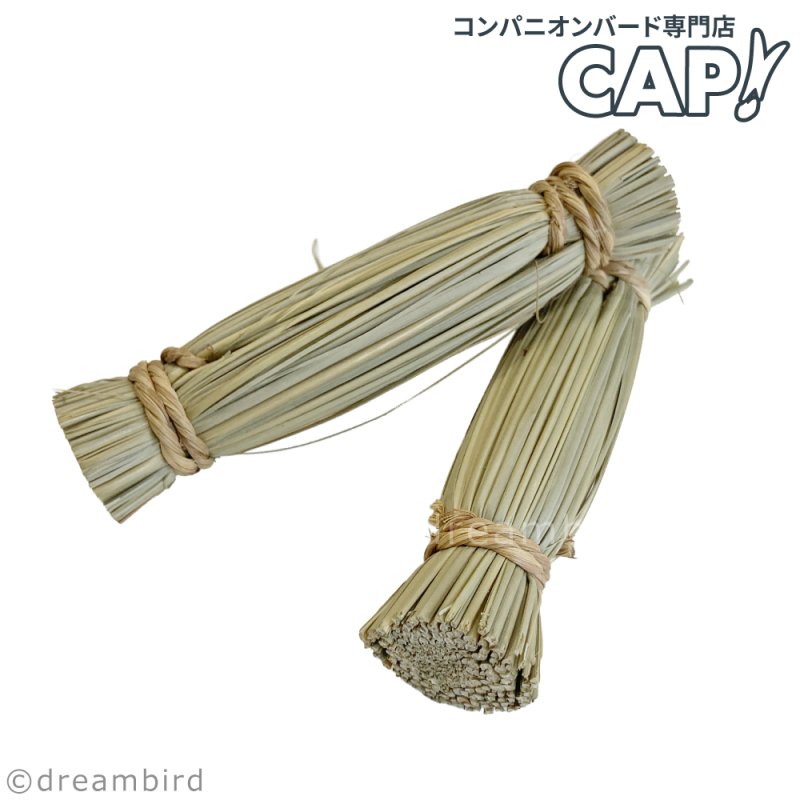 画像1: 【Parts】10cm Grass Bundle 1本 SB★ (1)