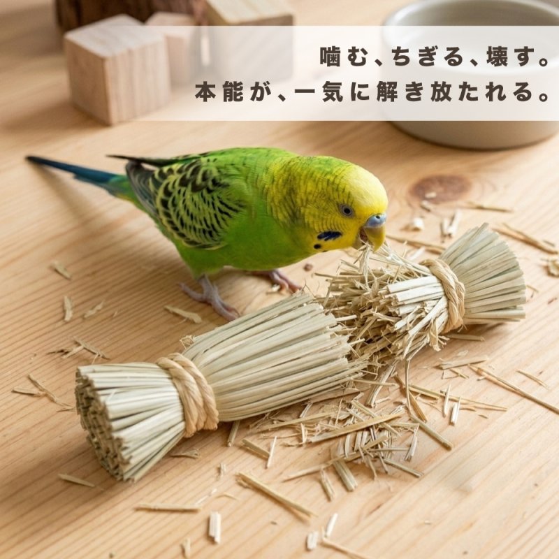 画像2: 【Parts】10cm Grass Bundle 1本 SB★ (2)