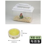 画像3: SANKO【A608】小鳥のまいにち食器 ウェイトＳ (3)