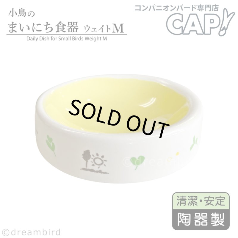 画像1: SANKO【A609】小鳥のまいにち食器 ウェイトM (1)