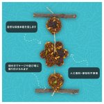 画像3: CAP! 鳥の餌 賞味期限2027/4/27 ズプリーム グレイジング・スナック 1.76oz(40g) (3)