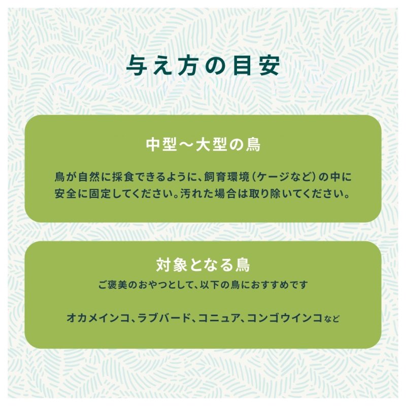 画像4: CAP! 鳥の餌 賞味期限2027/4/27 ズプリーム グレイジング・スナック 1.76oz(40g) (4)
