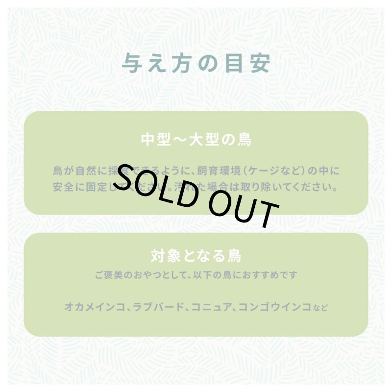 画像4: CAP! 鳥の餌 賞味期限2027/4/27 ズプリーム グレイジング・スナック 1.76oz(40g) (4)