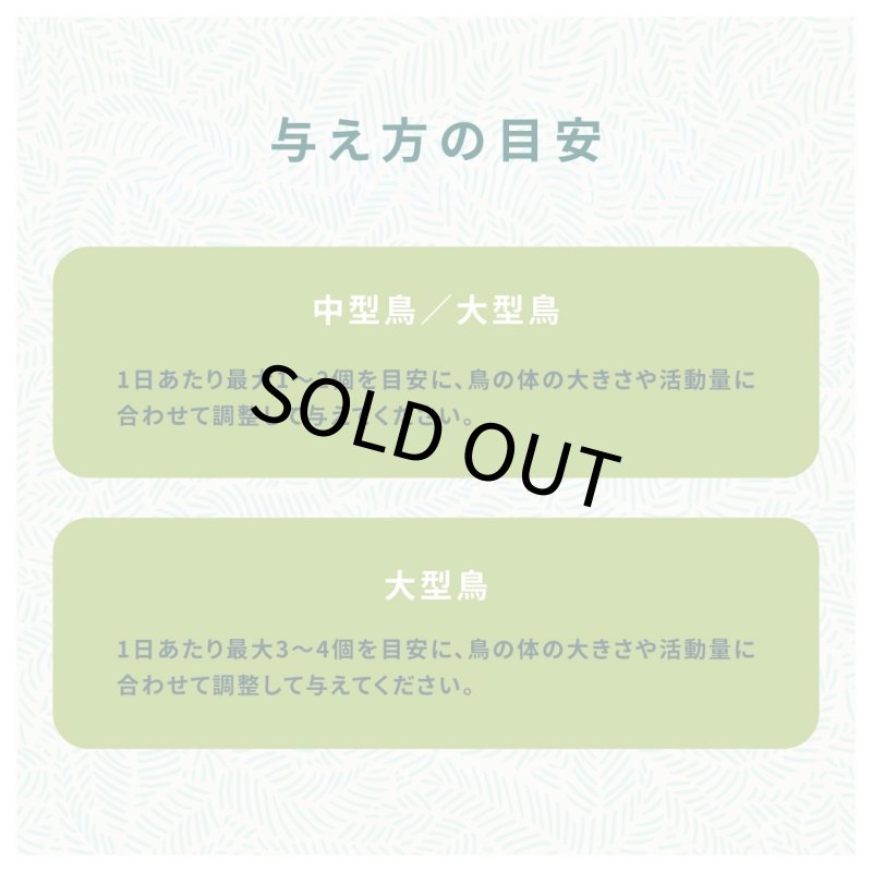 画像5: CAP! 鳥の餌 賞味期限2027/2/28【HealthyBites】ズプリーム ヘルシーバイツ バードトリーツ 3oz(85g) (5)