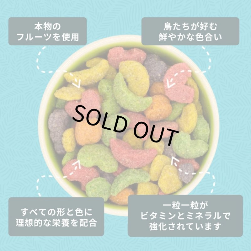画像2: CAP! 鳥の餌 賞味期限:2027/12/27ズプリームフルーツブレンド ＭＬパロット＆コニュア 2#(907g) (2)