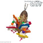 画像1: PK2011 Zip-a-de-do-dah (1)