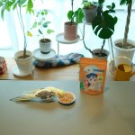 画像8: CAP! 鳥の餌 賞味期限2028/1/10【wakunoki】TORIKO トリコ 500g  小型・中型インコ用総合フード ★ (8)