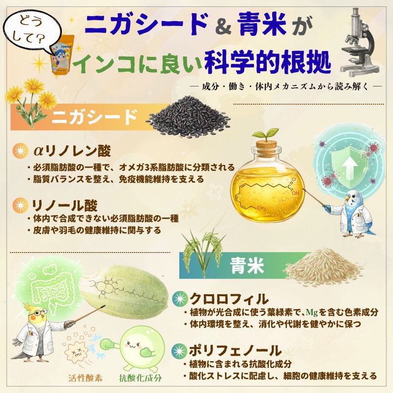画像6: CAP! 鳥の餌 賞味期限2028/1/10【wakunoki】TORIKO トリコ 500g  小型・中型インコ用総合フード ★ (6)