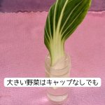 画像4: SANKO 小鳥のベジタブルポット (4)