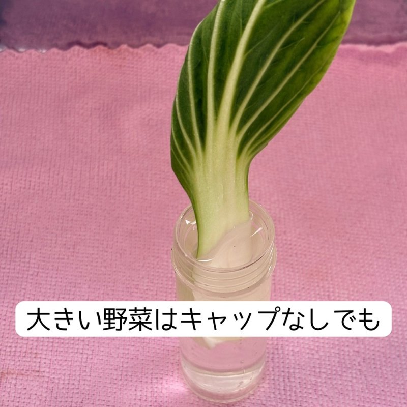 画像4: SANKO 小鳥のベジタブルポット (4)