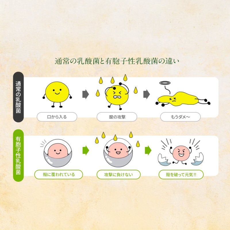 画像3: CAP! 鳥の餌 賞味期限2027/11/30 黒瀬ペットフード クラフトバードフード オーガニックペレット (3)