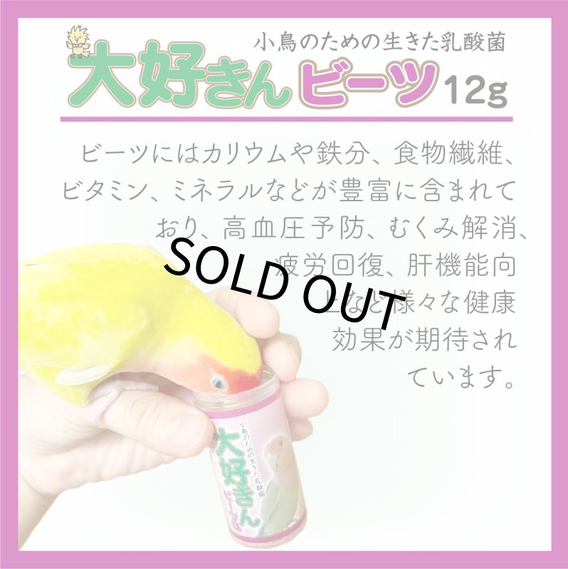 画像3: CAP! 鳥の餌 賞味期限2027/5/16【日本生菌】大好きん ビーツ 12g ※ビーツ※ (3)