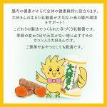 画像4: CAP! 鳥の餌 賞味期限2027/1/30【日本生菌】大好きん ウコン 12g ※ウコン※ (4)