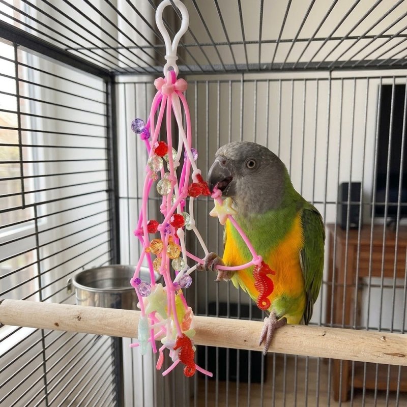 画像5: 【jerry's bird toy】Jerry019 チョキチョキビーズ★ (5)