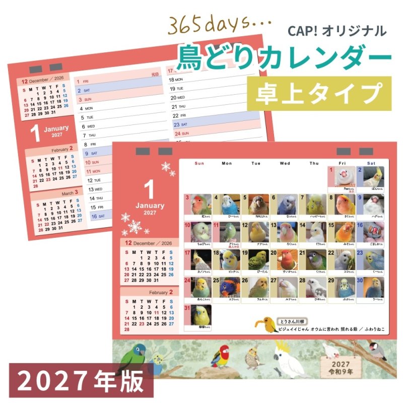 画像1: 2027年版365days 鳥どりカレンダー ＜卓上タイプ＞★ (1)
