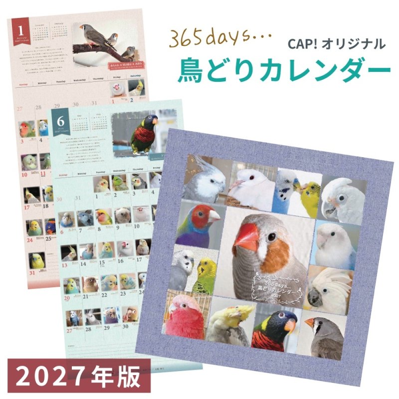 画像1: 2027年版365days... 鳥どりカレンダー ＜壁掛け＞★ (1)