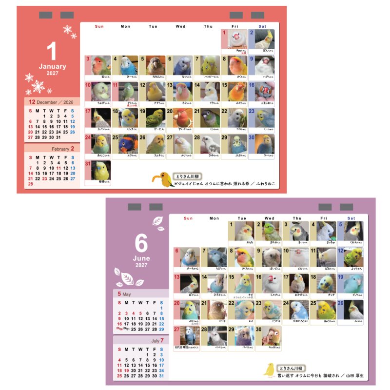画像2: 2027年版365days 鳥どりカレンダー ＜卓上タイプ＞★ (2)