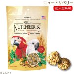 画像1: CAP! 鳥の餌 賞味期限2027/11/19 ラフィーバー ニュートリベリー マコウ 10oz(284g) (1)
