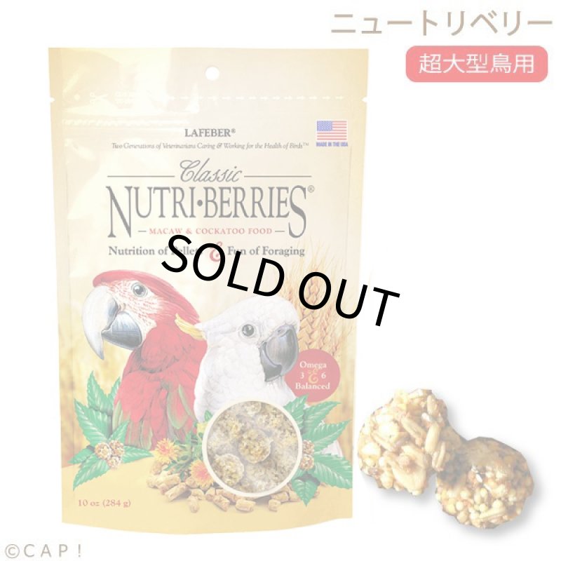 画像1: CAP! 鳥の餌 賞味期限2027/11/19 ラフィーバー ニュートリベリー マコウ 10oz(284g) (1)