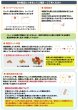 画像4: CAP! 鳥の餌 賞味期限2026/7/20ズプリーム ナチュラル L ラージパロット 20#（9.07kg） (4)