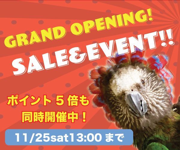 【11/23】CAP!オフィシャルショップ：サイトオープン！
