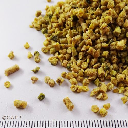 画像2: CAP! 鳥の餌 賞味期限2027/2/20ラウディブッシュ メンテナンス ニブルズ 8oz(227g) (2)