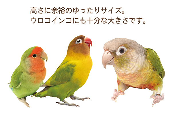 画像3: SANKO B331 小鳥の三角ベッドL ブラウン (3)