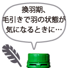 nektonBIO